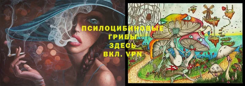 продажа наркотиков  Ангарск  blacksprut tor  Галлюциногенные грибы Psilocybine cubensis 